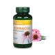 Vitaking ECHINACEA KIVONAT 250 mg (90 KAPSZULA)
