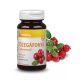 Vitaking TŐZEGÁFONYA KIVONAT C-VITAMINNAL (90 KAPSZULA)