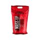 Activlab MASS UP (5000 GR) 