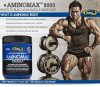 Gaspari Nutrition AMINOMAX 8000 (325 TABLETTA)