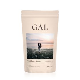 GAL MAGNÉZIUM L-LAKTÁT (221 GR)