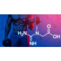 Tesztoszteron növelők