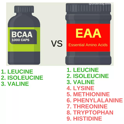 EAA vagy BCAA, melyik aminosav komplex a  jobb választás?