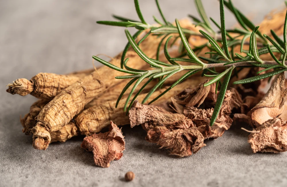 A keleti harcosok titkos fegyvere: Ginseng az edzésben és a mindennapi pörgésben